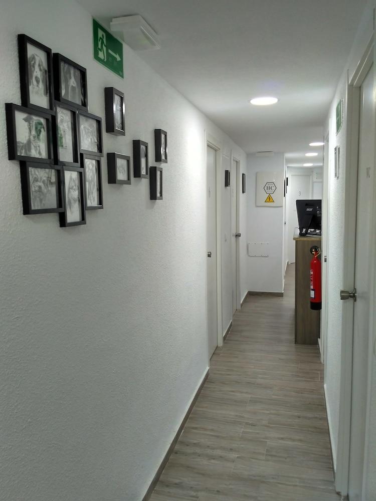 Guesthouse Central Αλικάντε Εξωτερικό φωτογραφία